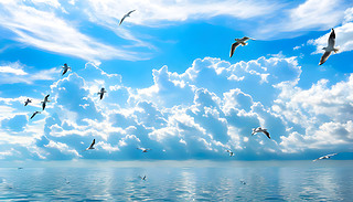 һȺ(yu)ŵBڌoĺˮϿհչF(xin)ԭʼ