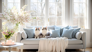 (yu)ŵ؈ڻɫɳl(f)ϕr(sh)ֵĽM