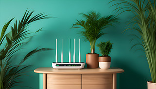 [[ľGɫֲ҃(ni)ֲеĕrЬF(xin)