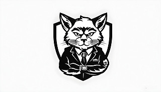 GuardianWhiskers؈ȫ־