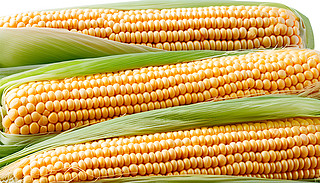 ѯBװϵĽɫװ،չʾM