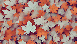 ɫ~ڰɫٱӳrWWl(f)