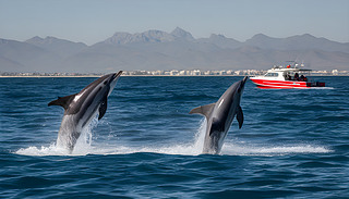 옷(l)ėlyS^(gu)չF(xin)˵ȻL(fng)