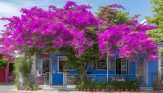 ˵{ɫӱʢ_ľظh(hun)@[[