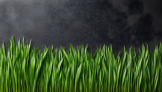 [[ľGc|(zh)ľƱӳȤ鶨