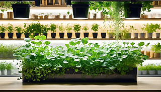 [[҃(ni)@⻬ĺɫиNֲ