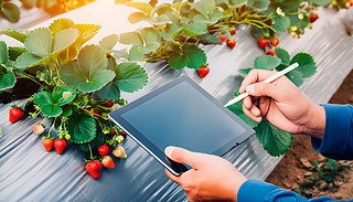 r(nng)(chng)u(png)rݮ|(zh)M(jn)g(sh)