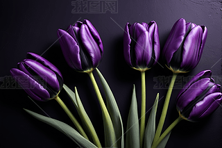 ɫںɫĻƿиDƬ