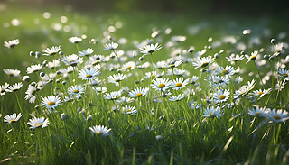 MĲݵL(zhng)MҰr@@4K