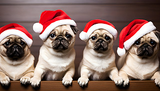 tɫʥQñĺ͹ڹ(ji)ЌR