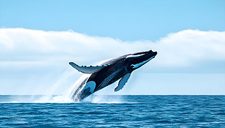 (dng)L_Ƹˮr(sh)p_ҿڴϷ