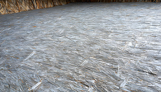 (f)wǵ˸ޏ(f)ľذ¶ęM