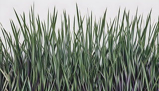 µľW(wng)DͳMЙC(j)yɫֲ