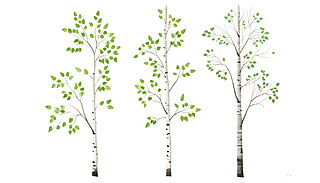 O(jin)xDɫоG~Ę(sh)힓P(yng)Ȼ