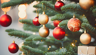 (ji)bʥQbtɫͽɫbƷ