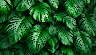 ᎧG~ؙh(hun)@һ׼Ȼ`е