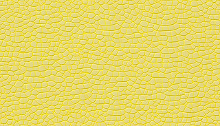 AĽɫްƤyɟo(w)pƴӱD