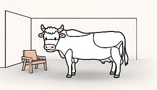 r(sh)к(jin)să(ni)ûذ͜ůľƼҾ