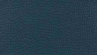 o(w)p܊{(ln)Ƥy탞(yu)؏(f)D