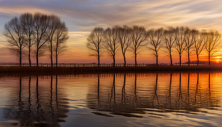 l(xing)ľչʾ˿ˇg(sh)