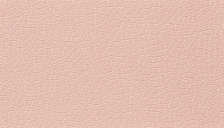 o(w)pɫƤyDȫƴO(sh)Ӌ(j)r(sh)б