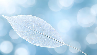 (yu)ŵPβ~(y)~Ӵ͵{(ln)ɫ˵ɢ