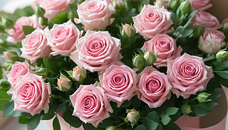 ڏ(qing){(dio)ֲҰͿɳm(x)@ˇğĭh(hun)