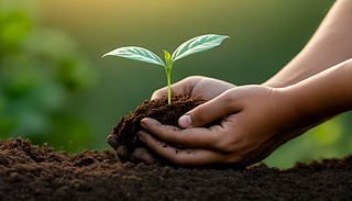 ڷֵ(du)ɳm(x)r(nng)I(y)ͭh(hun)