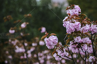 ۙѻ`