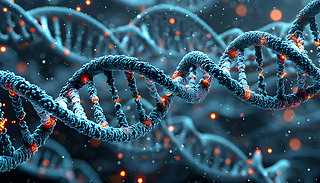 DNA֮ӽY̽