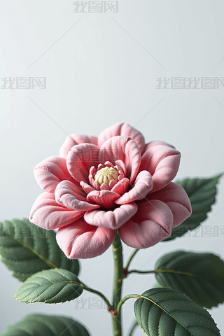 ƿһۼtɫĻ~ǾGɫĸDƬ