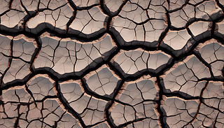 Ɖɵľ޴ѿpͿ׶ʾ˚ĵ