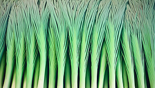 ĻڷAĻ@h(hun)о`