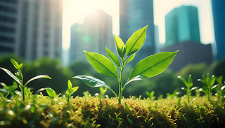 h(hun){I(y)(w)\I,ԌF(xin)ɳm(x)I(y)