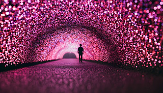 صﴩ^һڰ푑(yng),Wqğ