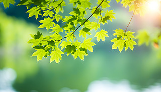 C(j)ė~c(din)Yһ(sh)֦ģ