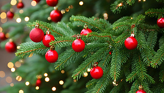 WWl(f)ʥQ֦bWWl(f)bƷ