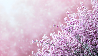 (yu)ŵķۼtɫĻ½ӽ(chung)һܛ͌o