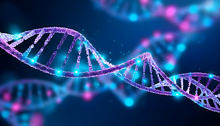 ﻯW(xu)ˎо{ɫϵDNA