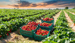 [[ľGɫҰеİlrի@Ĳݮ