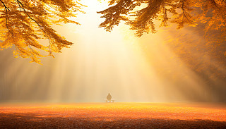 Sr(sh),ڹ@_(ti)Ϲª(d)ķ˼,ڜů