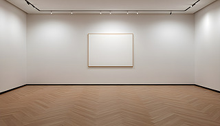 ڳMĮȿgչʾN(chung)ˇg(sh)չʾ