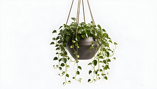 (yu)ŵβеľG}ԭʼİɫչʾ(dng)