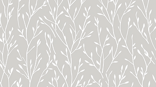 o(w)pyo(w)pƴӘO(jin)׺ΈDDƬ