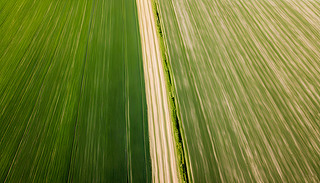 mAGɫҰͲԭĻĴL(fng)