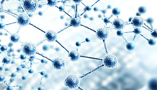 e(cu)C(f)sķӽY(ji)(gu)չF(xin)ƌW(xu)̽c(f)s