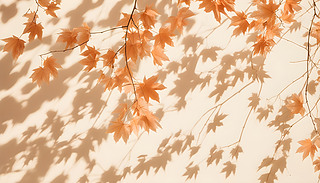 M(mn)Ș(sh)cA~Ӻˇg(sh)(x)(ji)