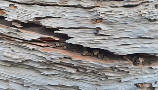 L(fng)ľĵļy֮@@،R^ͨ^