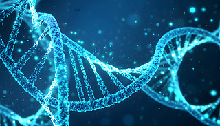 Ч(yng)ƌW(xu)c{(ln)ɫDNA朏{(dio)