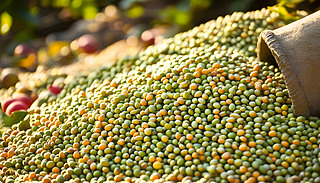 SϹO(png)(yng)WWl(f)Ļ